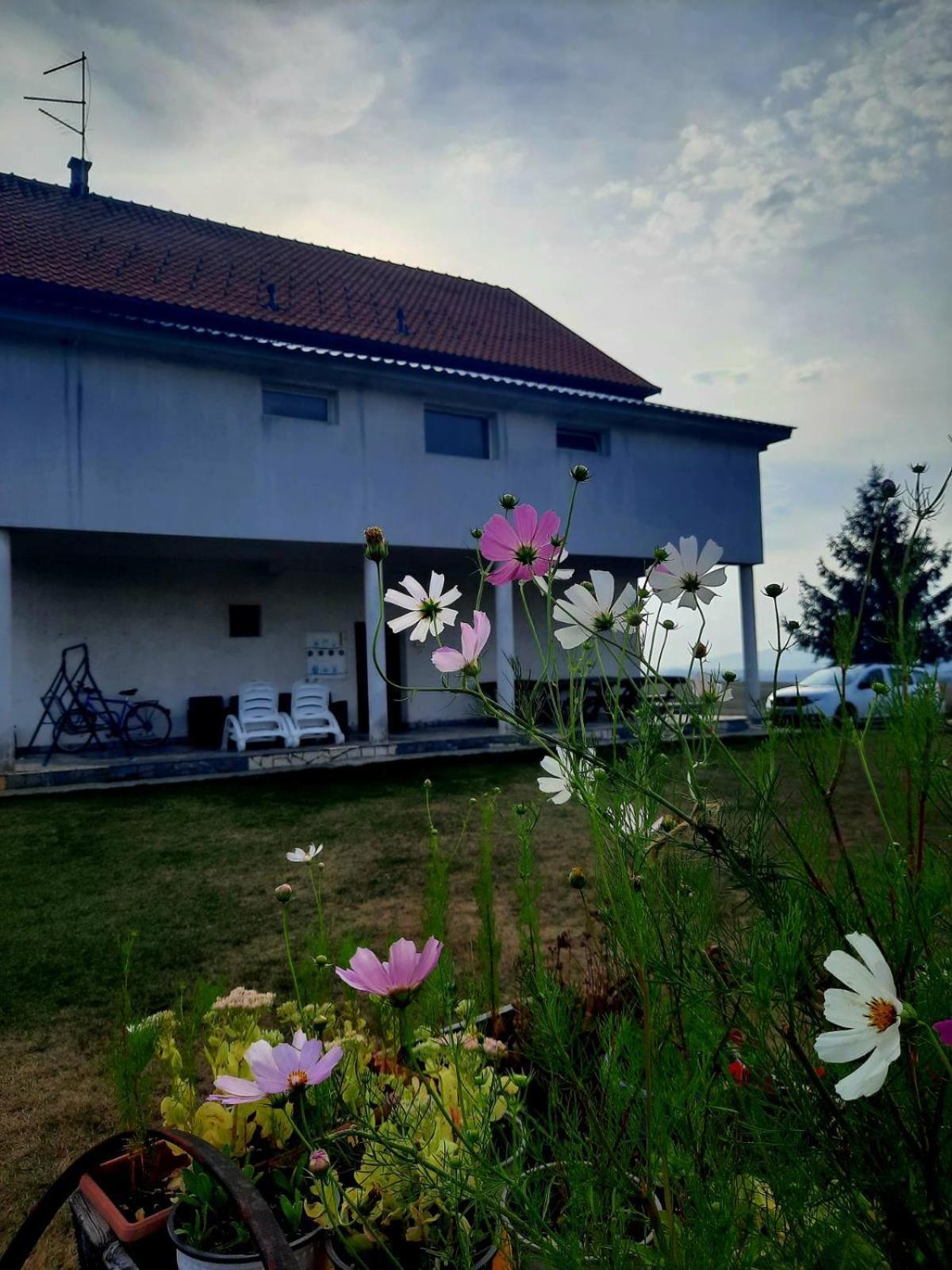 Apartments Zlatiborski Visovi Екстер'єр фото